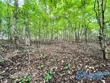3.78 Acres Flicker Way - Photo 3