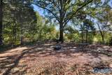 10243 James Drive - Photo 41