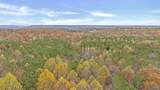 18 acres County Road 359 - Photo 12