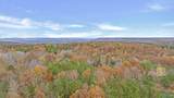 18 acres County Road 359 - Photo 15