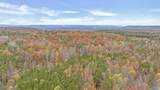 18 acres County Road 359 - Photo 19