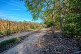 3.95 Old Highway 431 - Photo 2