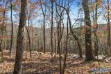 80 ACRES Upper Hurricane Road - Photo 15