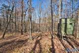 80 ACRES Upper Hurricane Road - Photo 18