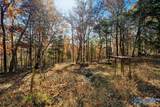 80 ACRES Upper Hurricane Road - Photo 24