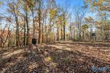 80 ACRES Upper Hurricane Road - Photo 38