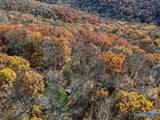 80 ACRES Upper Hurricane Road - Photo 41