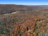 80 ACRES Upper Hurricane Road - Photo 43