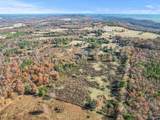 31 acres Beagle Road - Photo 9