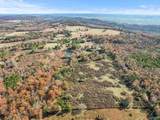 31 acres Beagle Road - Photo 10