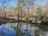 1 County Road 137 - Photo 19