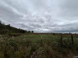 13.9 Acres County Road 429 - Photo 21