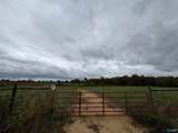 13.9 Acres County Road 429 - Photo 22