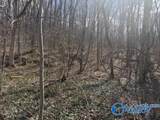 3711 Wilborn Avenue - Photo 6