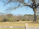 627 Neel School Road - Photo 2