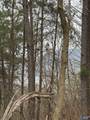 1960 County Road 223 - Photo 2