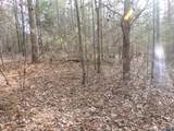 74.5 ACRES County Road 9 - Photo 29