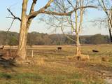 53 Acres County Road 41 - Photo 1