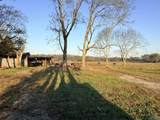 53 Acres County Road 41 - Photo 2