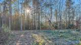 5.58 ac Rachel Drive - Photo 12