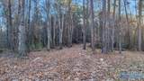 5.58 ac Rachel Drive - Photo 13