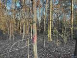 5.58 ac Rachel Drive - Photo 40