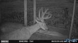 5680 County Road 223 - Photo 10