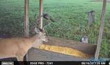 5680 County Road 223 - Photo 12