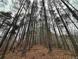 5680 County Road 223 - Photo 28