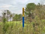 5680 County Road 223 - Photo 30