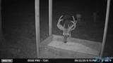 5680 County Road 223 - Photo 34