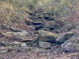 36 AC Brown Road - Photo 14