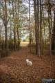 2073 County Road 213 - Photo 33