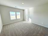 29343 Satilla Circle - Photo 21