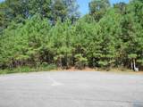Lot 115 County Road 182 - Photo 4