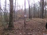 Lot 40 County Road 243 - Photo 1