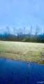Lot 1 Holcomb Road - Photo 1