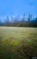 Lot 1 Holcomb Road - Photo 4