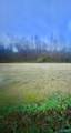 Lot 1 Holcomb Road - Photo 5