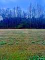 Lot 1 Holcomb Road - Photo 6