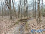 11 Bobo Section Road - Photo 10