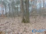 11 Bobo Section Road - Photo 12