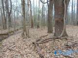 11 Bobo Section Road - Photo 13