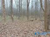 11 Bobo Section Road - Photo 14