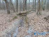11 Bobo Section Road - Photo 9