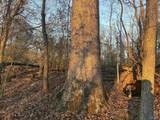 Lot 4 and 5 Snodgrass Road - Photo 13