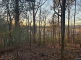 Lot 4 and 5 Snodgrass Road - Photo 15