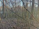 Lot 4 and 5 Snodgrass Road - Photo 9