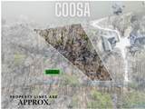 0.73 Acres Lister Ferry Road - Photo 3