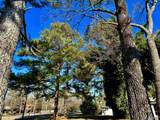 3700 Browns Valley Road - Photo 4